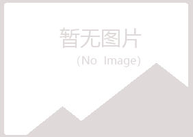 白玉县夜山能源有限公司